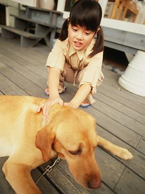 ペットの贅沢水素水で健康を維持